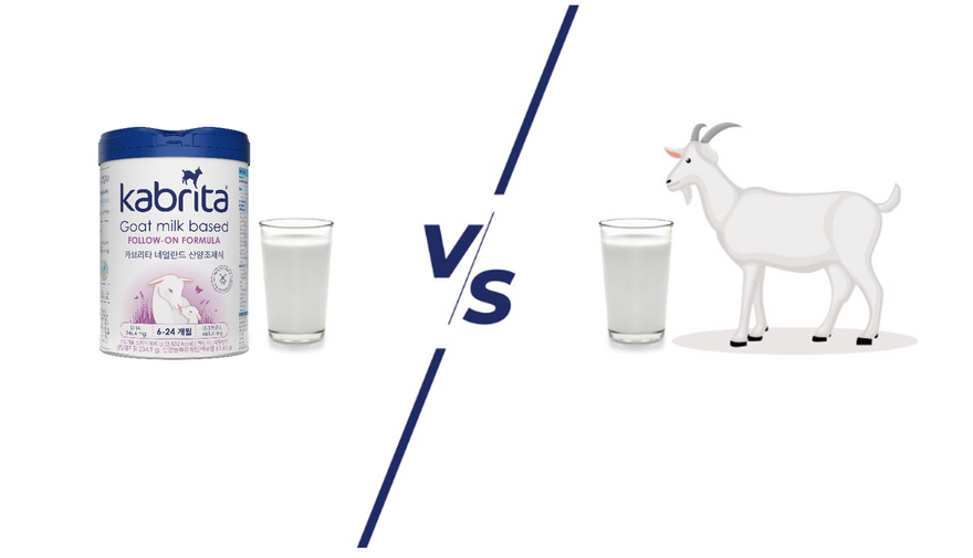 산양 분유 vs 산양유 차이를 알아보자